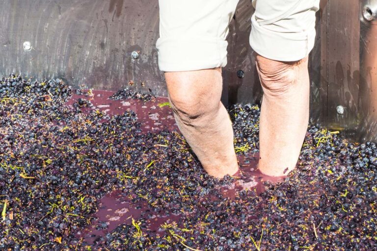 Grape stomping
