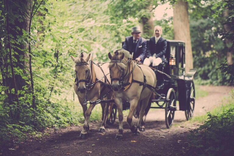Private Tour in Carrozza_